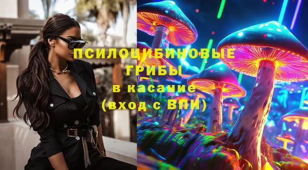 PSILOCYBIN Верея