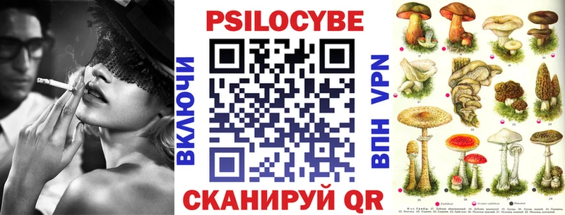 OMG вход  Яровое  Псилоцибиновые грибы Psilocybe  где продают наркотики 
